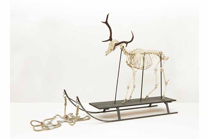 Werk von Peter Riss aus der Ausstellung we dragon im Kunstverein Coburg (Bild 2)