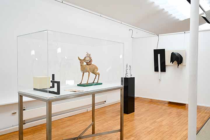 Werk von Peter Riss aus der Ausstellung we dragon im Kunstverein Coburg (Bild 9)