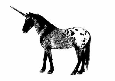 Jahresgabe Einhorn von Stefan à Wengen