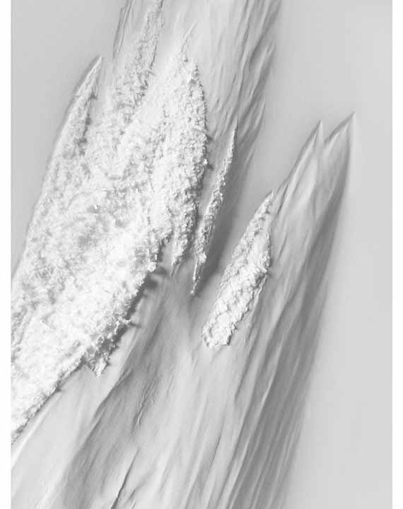 Papierrelief von Aja von Loeper (Bild 1)