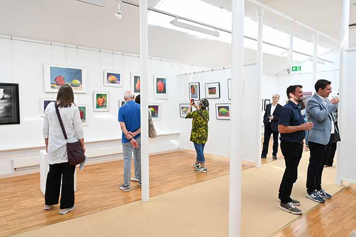 Kunstwerk aus der Ausstellung der Sommerakademie Coburg 2025 (Bild 27)