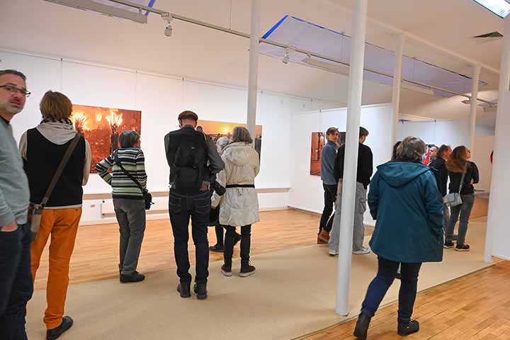 Impression der Vernissage der Ausstellung Römer + Römer im Kunstverein Coburg (Bild 8)